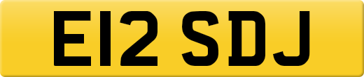 E12SDJ